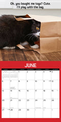 Cattitudes 2027 12" x 12" Wall Calendar