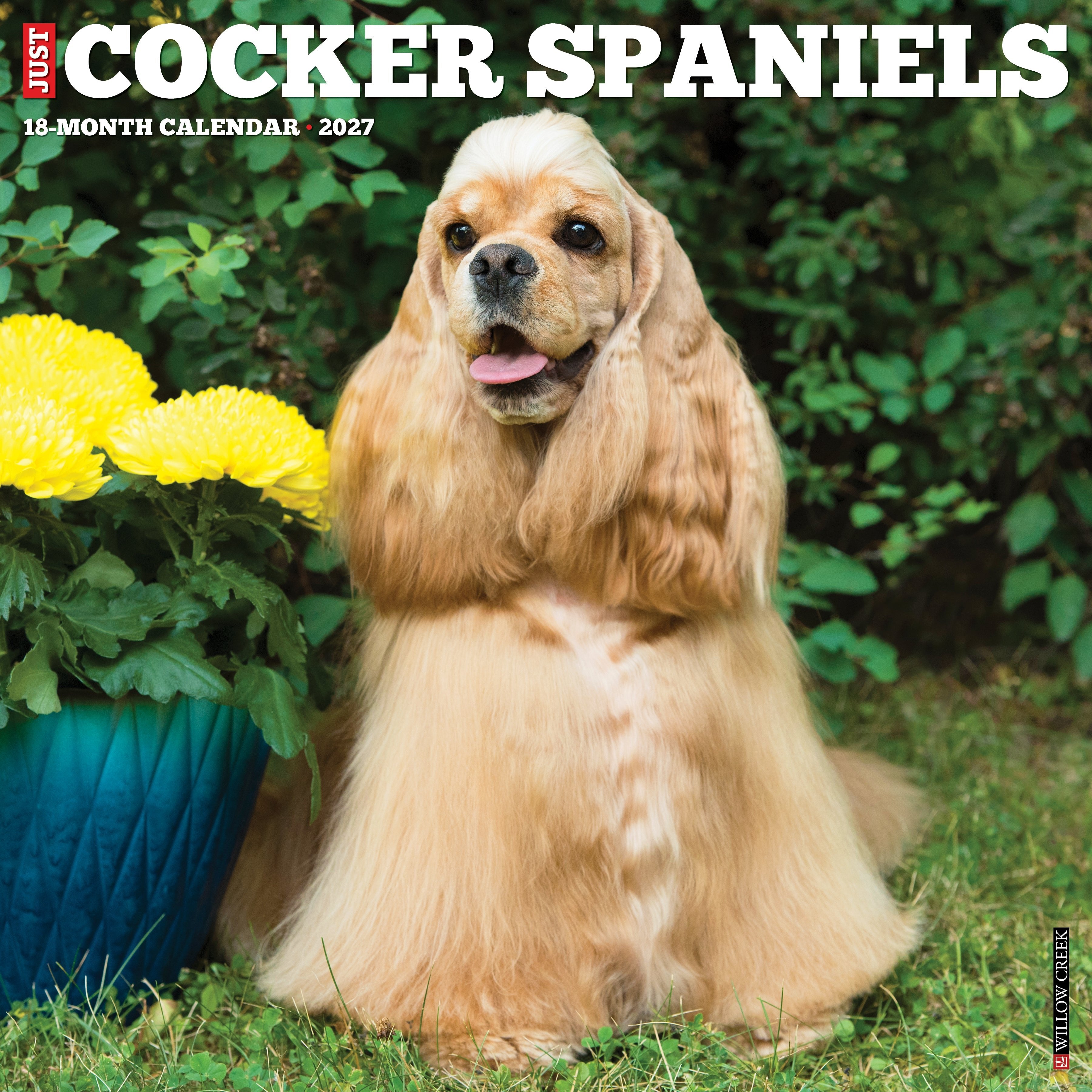 Cocker Spaniels 2027 12" x 12" Wall Calendar