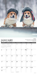 Corgi Rules 2027 12" x 12" Wall Calendar