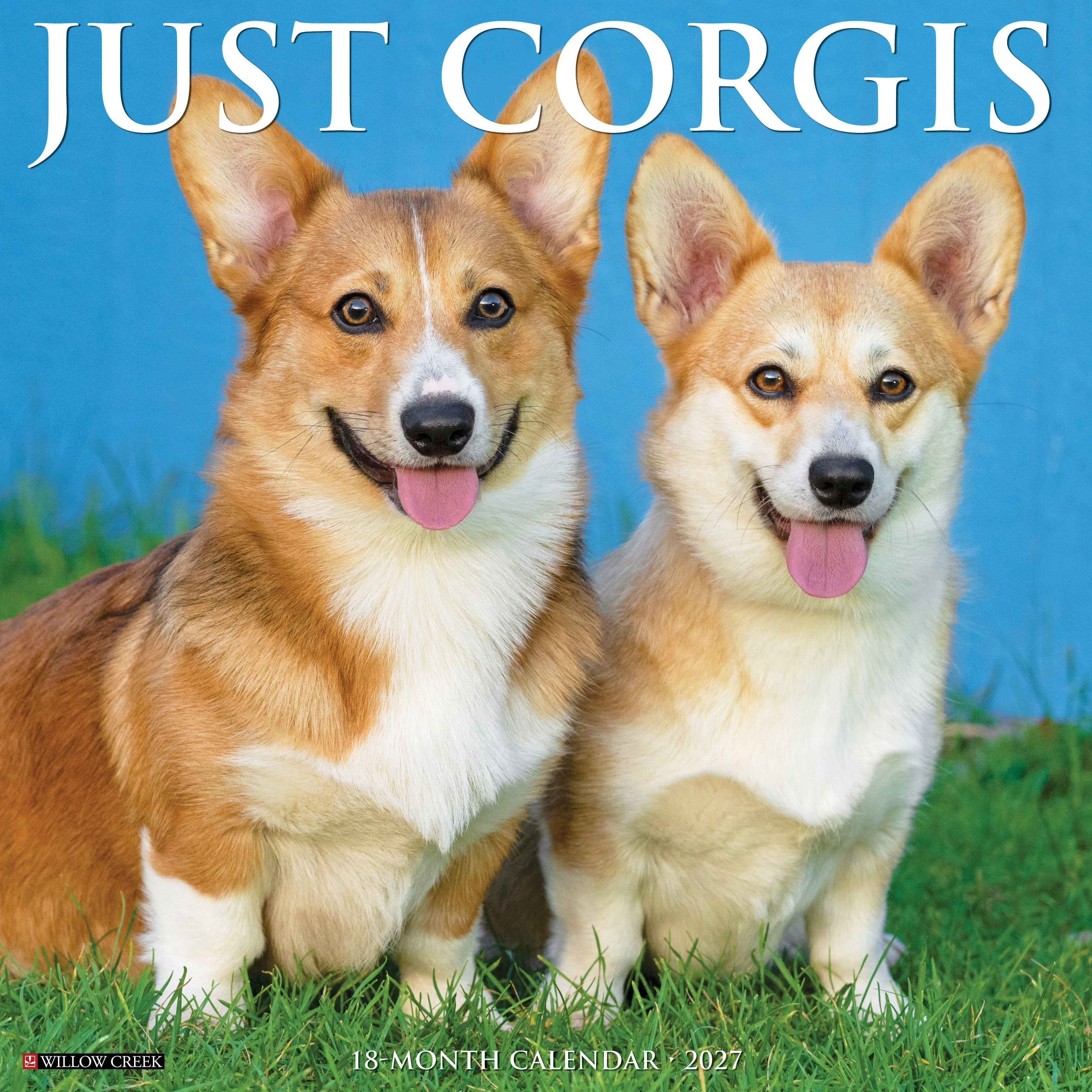 Corgis 2027 12" x 12" Wall Calendar