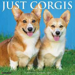 Corgis 2027 12" x 12" Wall Calendar