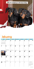 Crusoe & Family 2027 12" x 12" Wall Calendar