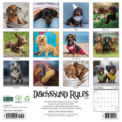 Dachshund Rules 2027 12" x 12" Wall Calendar