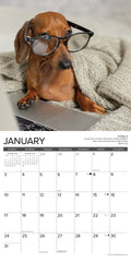 Dachshund Rules 2027 12" x 12" Wall Calendar