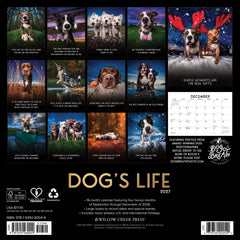 Dog's Life 2027 12" x 12" Wall Calendar