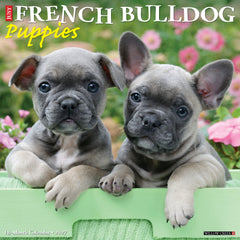 French Bulldog Puppies 2027 12" x 12" Wall Calendar