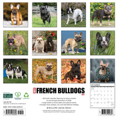 French Bulldogs 2027 12" x 12" Wall Calendar