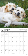 Golden Rules 2027 12" x 12" Wall Calendar