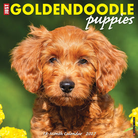 Goldendoodle Puppies 2027 12" x 12" Wall Calendar