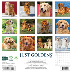 Goldens 2027 12" x 12" Wall Calendar