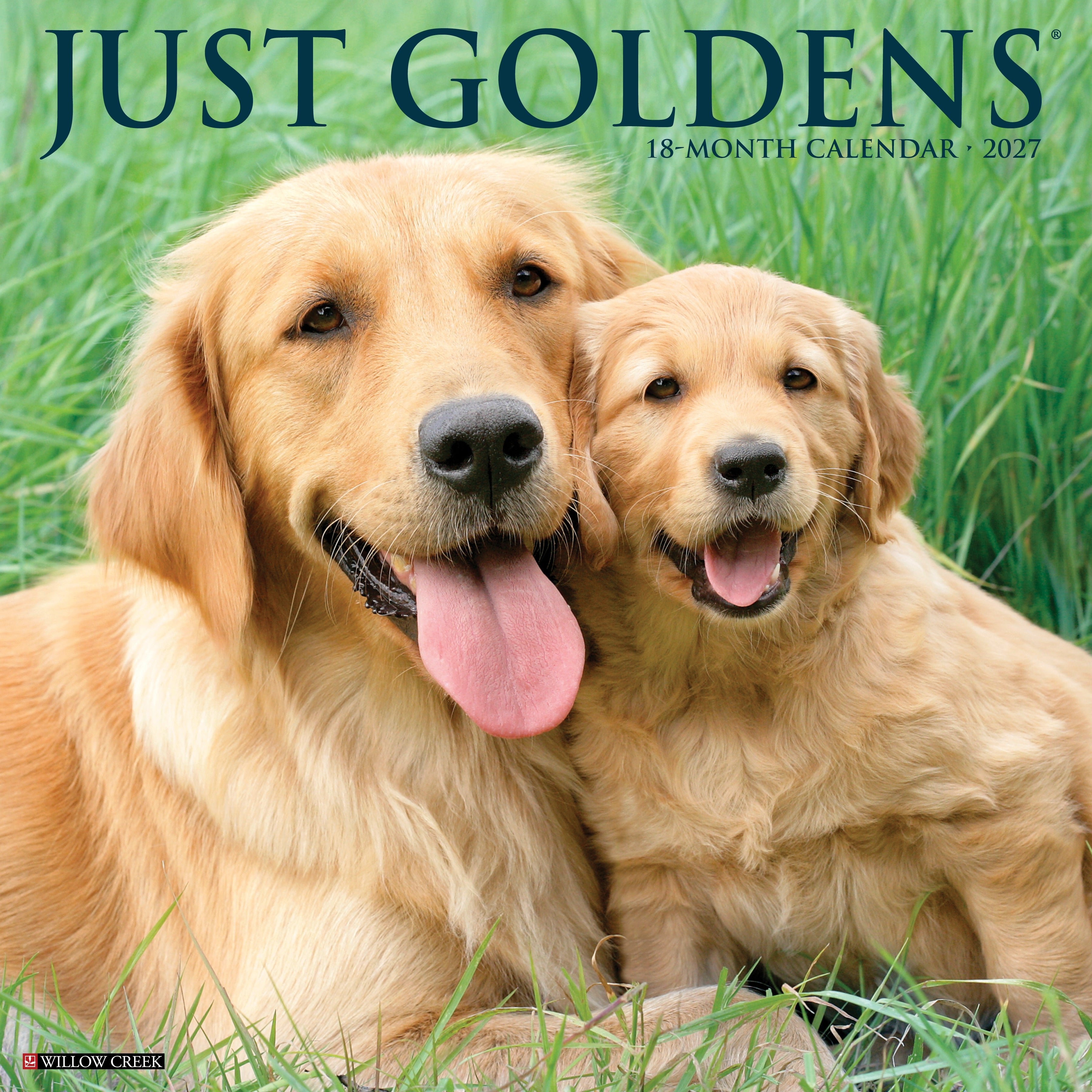 Goldens 2027 12" x 12" Wall Calendar
