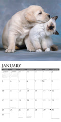 Kittens & Puppies 2027 12" x 12" Wall Calendar