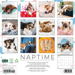 Naptime: Dogs & Puppies on their Best Behavior 2027 12" x 12" Wall Calendar