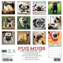 Pug Mugs 2027 12" x 12" Wall Calendar