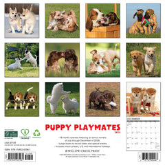 Puppy Playmates 2027 12" x 12" Wall Calendar
