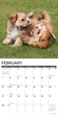 Puppy Playmates 2027 12" x 12" Wall Calendar