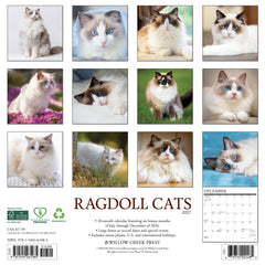 Ragdoll Cats 2027 12" x 12" Wall Calendar