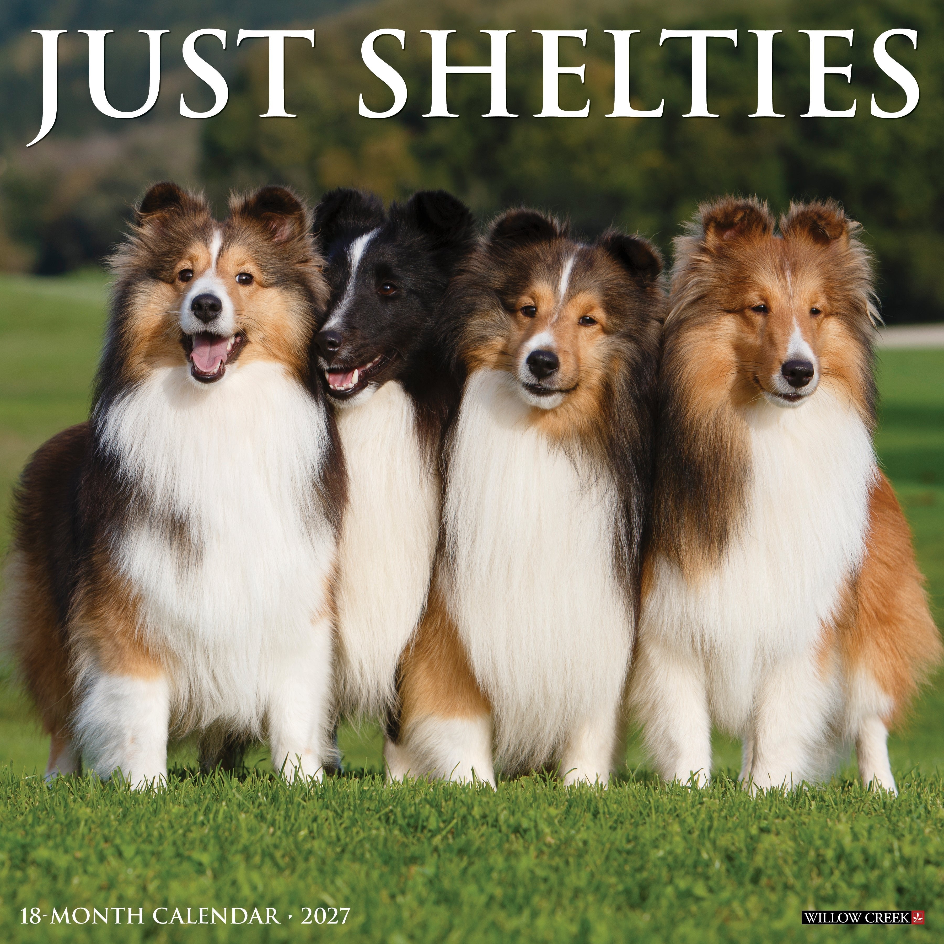 Shelties 2027 12" x 12" Wall Calendar