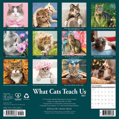 What Cats Teach Us 2027 12" x 12" Wall Calendar