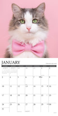 What Cats Teach Us 2027 12" x 12" Wall Calendar