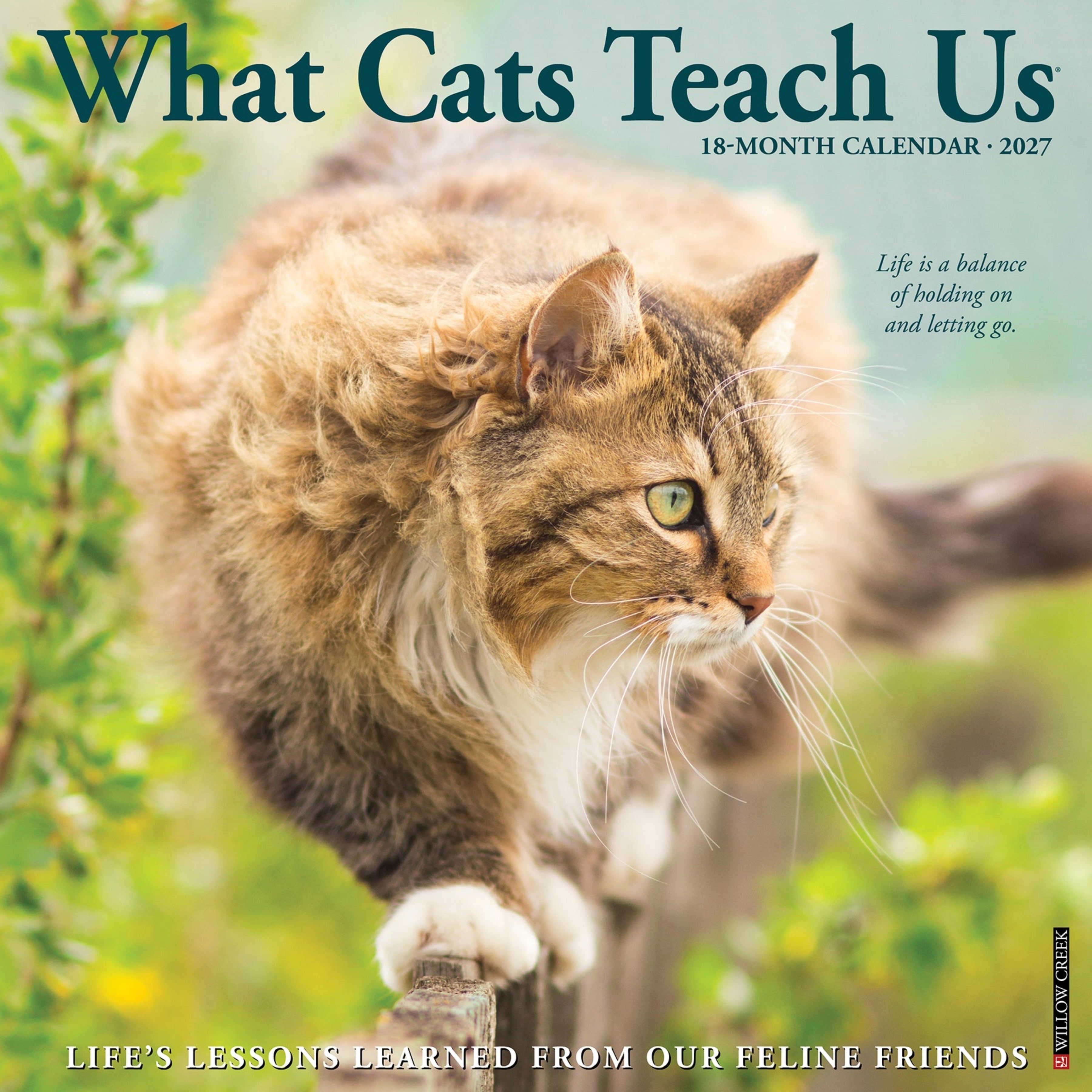 What Cats Teach Us 2027 12" x 12" Wall Calendar