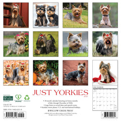 Yorkies 2027 12" x 12" Wall Calendar