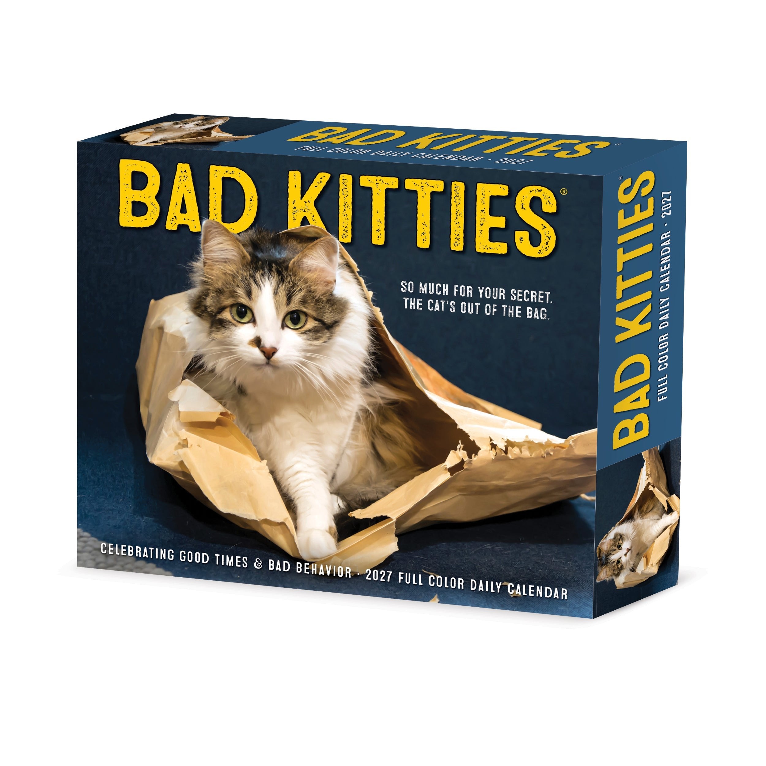 Bad Kitties 2027 5.4" x 6.2" Box Calendar