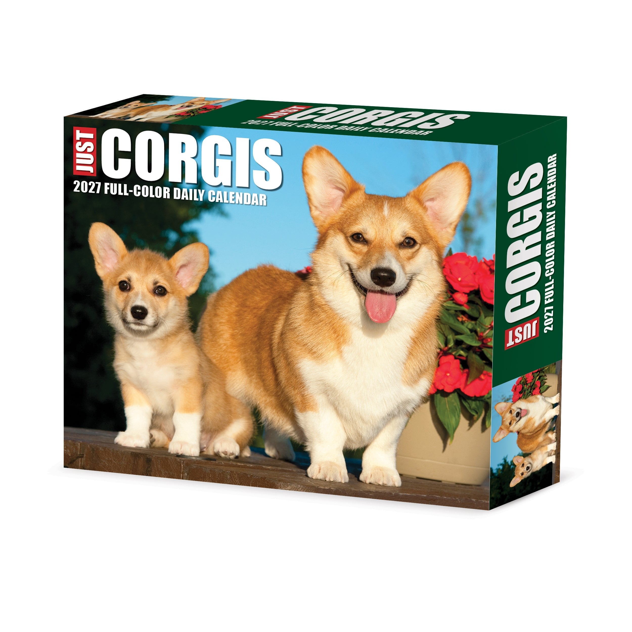 Corgis 2027 5.4" x 6.2" Box Calendar