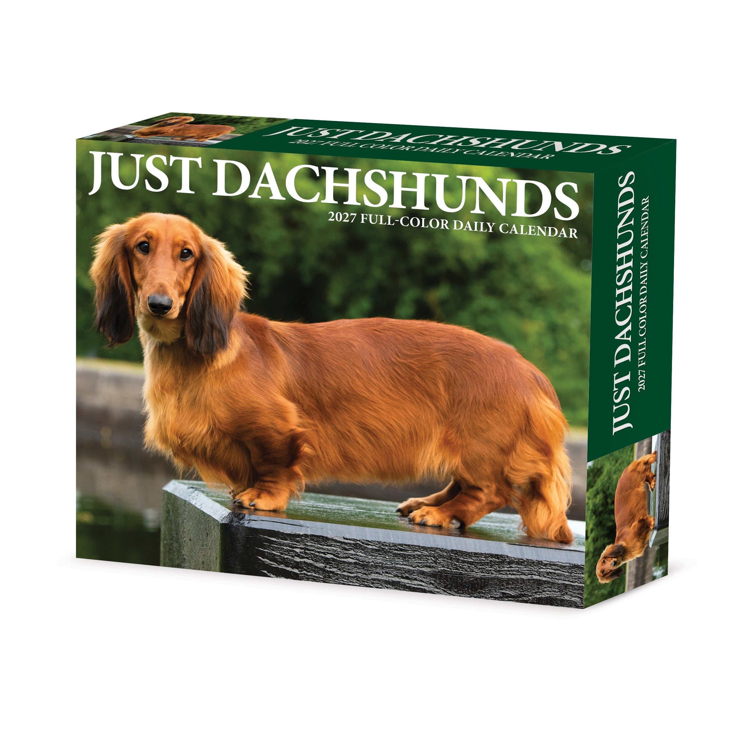 Dachshunds 2027 5.4" x 6.2" Box Calendar