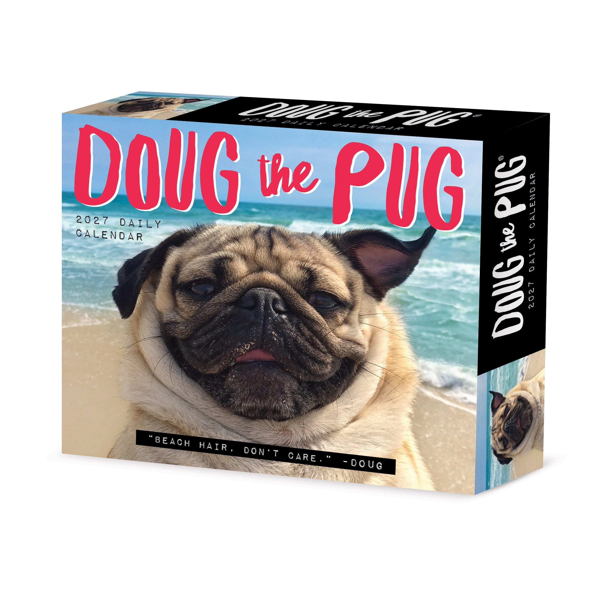 Doug the Pug 2027 5.4" x 6.2" Box Calendar-USA