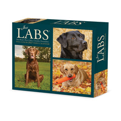 Just Labs 2027 5.4" x 6.2" Box Calendar