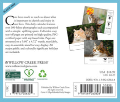 What Cats Teach Us 2027 5.4" x 6.2" Box Calendar