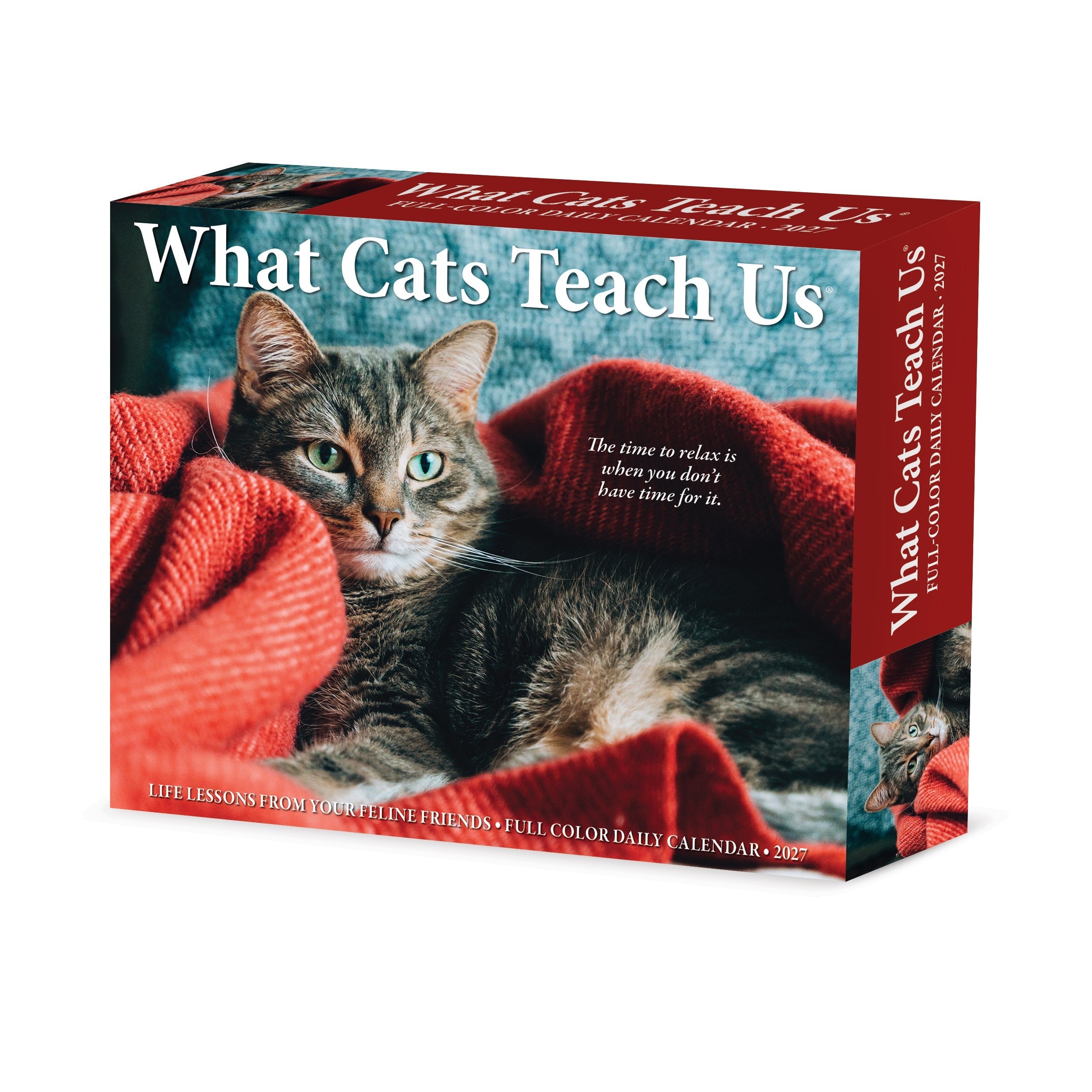 What Cats Teach Us 2027 5.4" x 6.2" Box Calendar