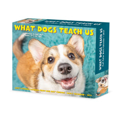 What Dogs Teach Us 2027 5.4" x 6.2" Box Calendar