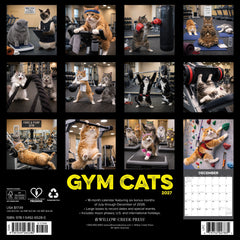 Gym Cats 2027 12" x 12" Wall Calendar