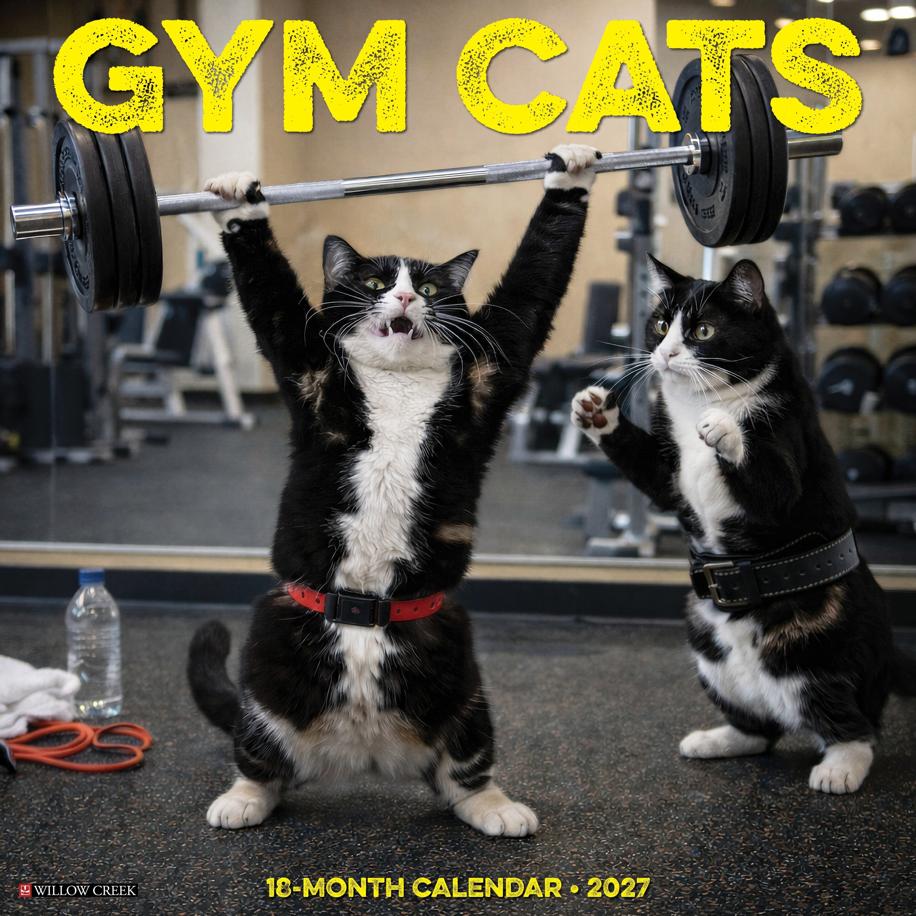 Gym Cats 2027 12" x 12" Wall Calendar